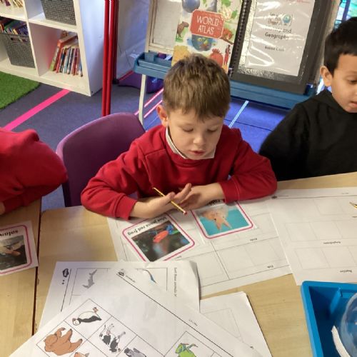 Spring Term Learning