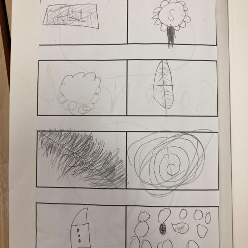 Dragonfly Class - exploring and drawing