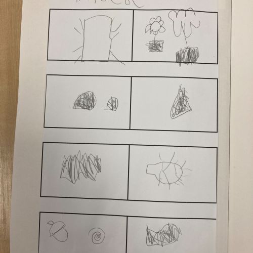 Dragonfly Class - exploring and drawing