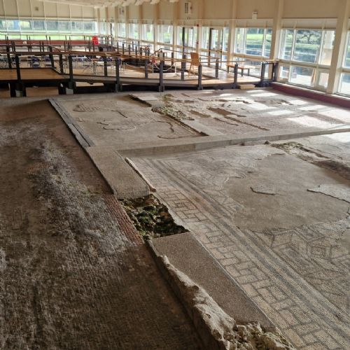 Fishbourne Roman Palace -Maple