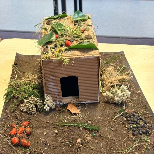 DT- Anderson Shelters
