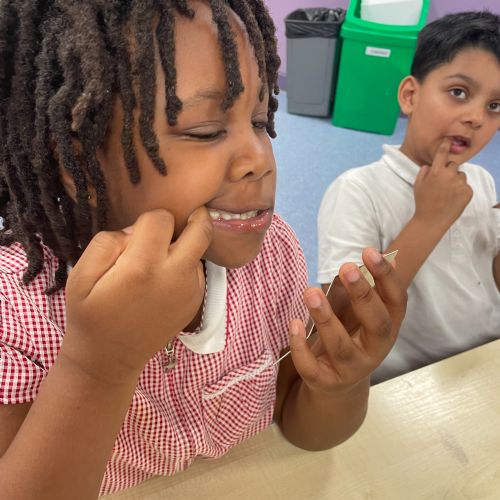 Science learning