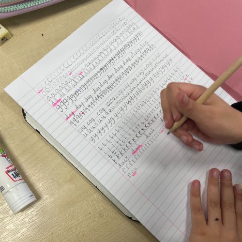 Literacy learning
