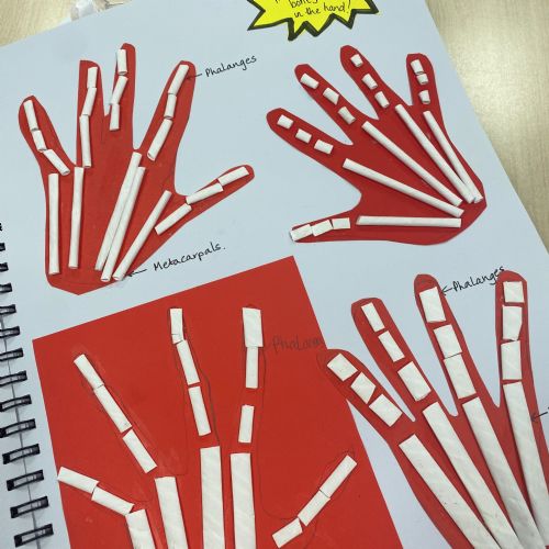 Science provision across our school